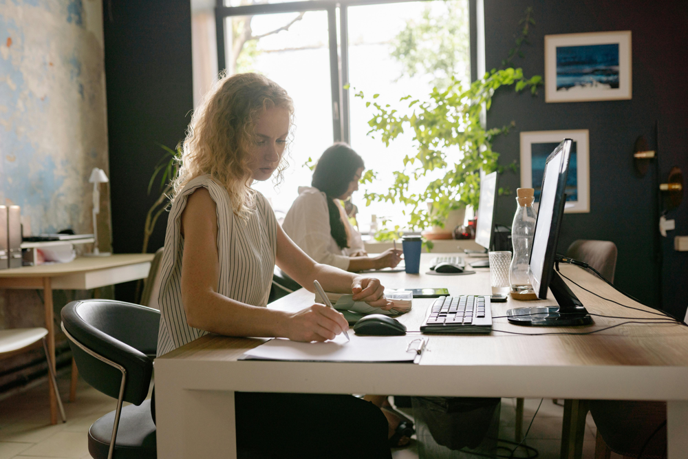 Office professionals working at desks